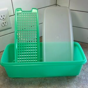 Tupperware Celery Keeper